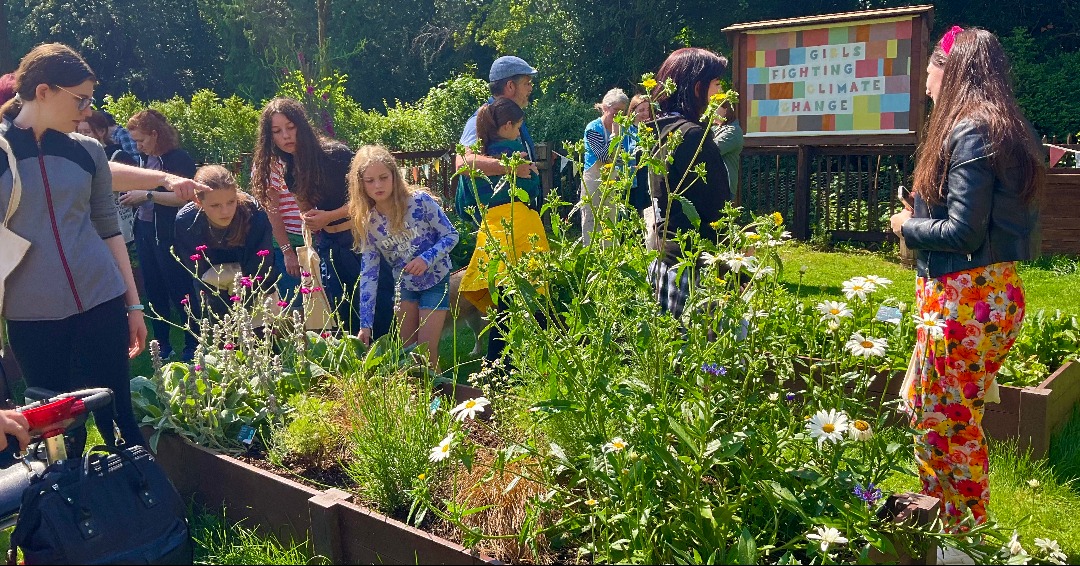 Our New Sensory Dye Garden