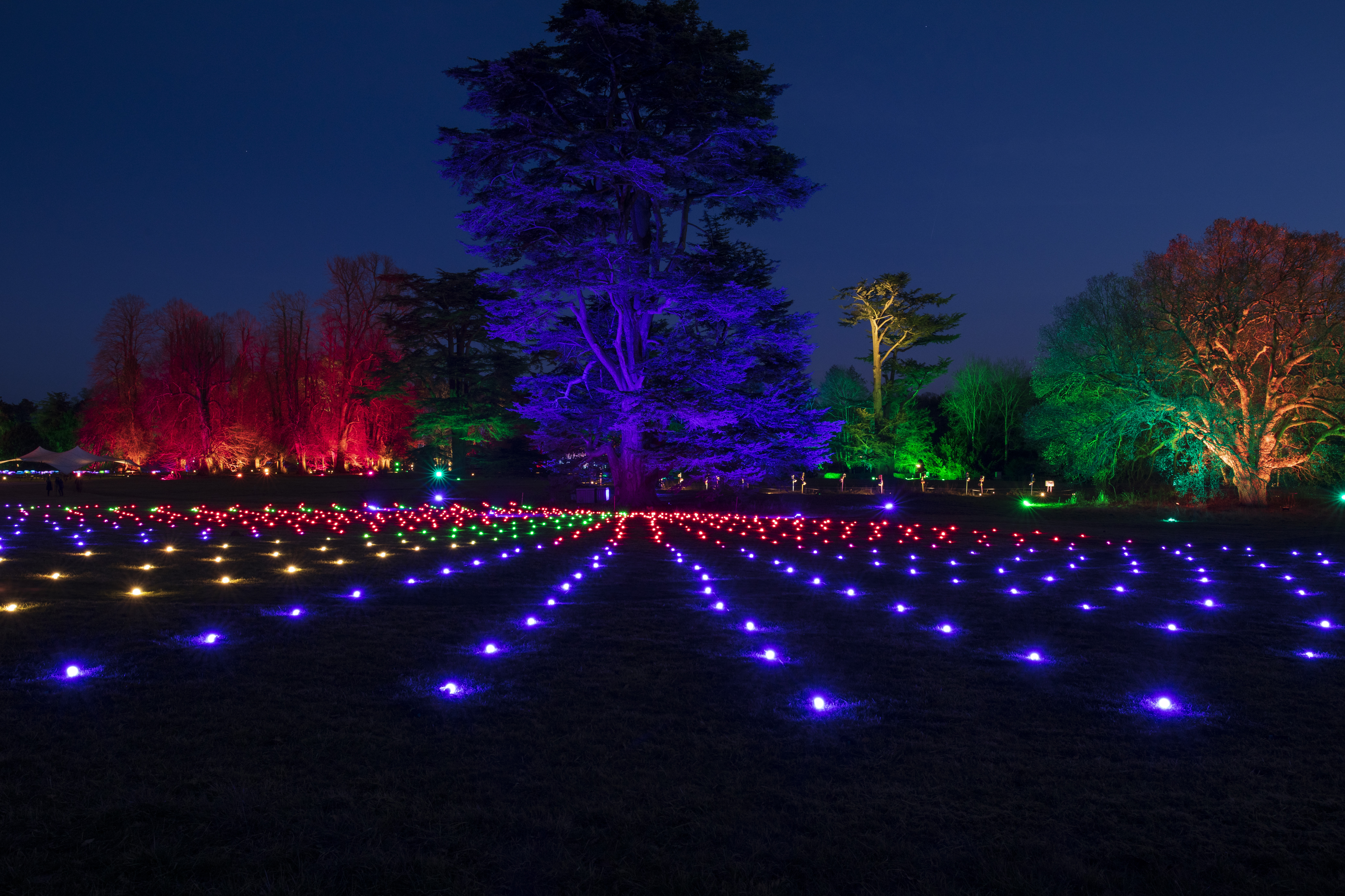 Winter at Compton Verney- 4 things to get excited about!