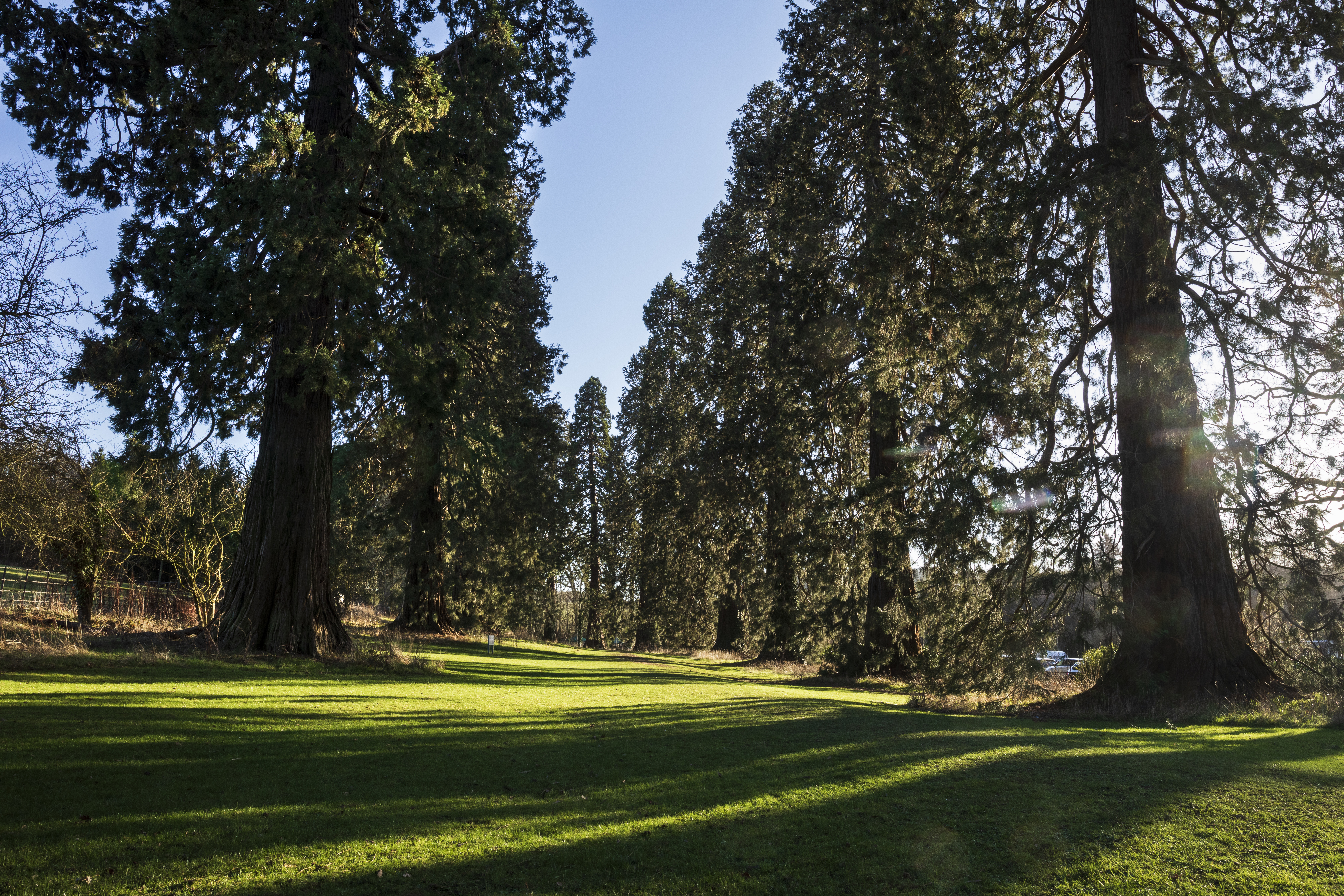 New Year: wellbeing activities to take up at Compton Verney in 2024